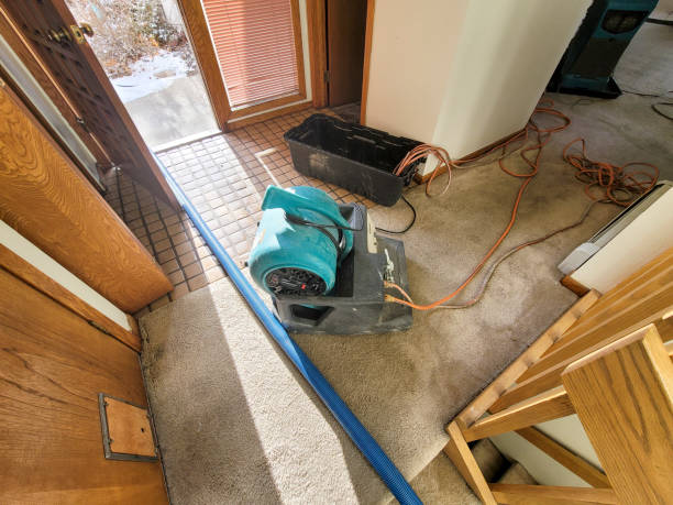 Best Water damage restoration near me  in Stanfield, OR