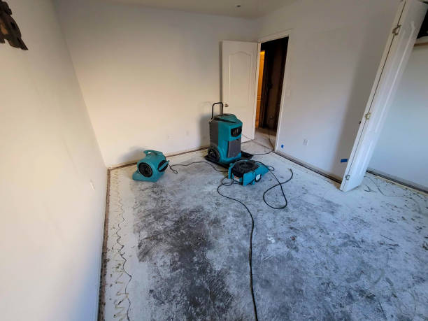 Best Basement water damage restoration  in Stanfield, OR