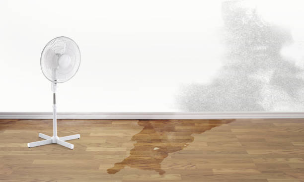 Professional Water damage restoration in OR