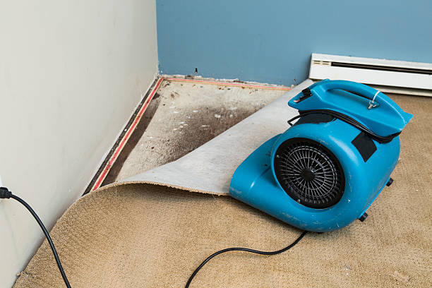 Best Water damage restoration near me  in Stanfield, OR